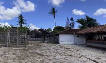 Imagem 3: Vendo Fazenda 66 hectares pronta
