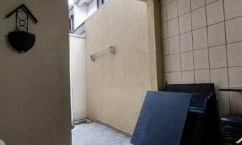 Imagem 7: CURITIBA - Padrão - Xaxim