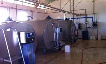 Imagem 6: Fazenda de alta produção de Leite