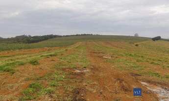 Imagem 4: Sítio com 4 dormitórios à venda, 411400 m² por R$ 8.600.000 - Curralinho - Pouso Alegre/MG