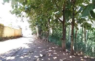 Imagem 6: Vendo terreno Casa com 2 dormitórios