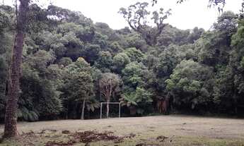 Imagem 5: Sítio em SJP-PR com 36.663.00 m2