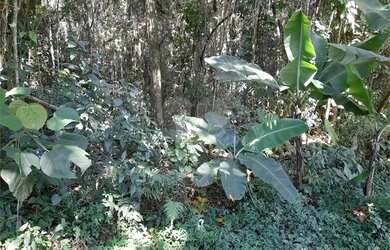 Imagem 5: Terreno à Venda no Parque Petrópolis com 978m²