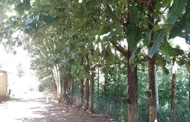 Imagem 3: Vendo terreno Casa com 2 dormitórios