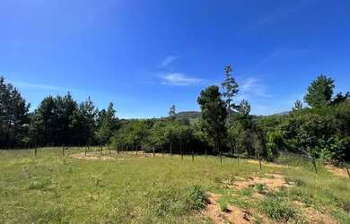 Imagem 2: Vendo um Sítio com arroio 100 metros do asfalto