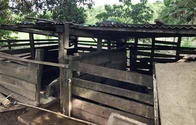 Imagem 4: Petrolina de Goiás - Casa Padrão - <br> Setor Central