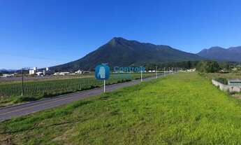 Imagem: Lote/Terreno na Guarda do Cubatão, Palhoça