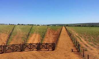 Imagem 2: Fazenda de alta produção de Leite