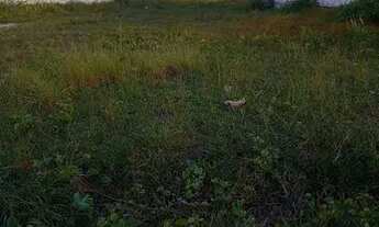 Imagem 3: Terreno na Praia 10x25- Lucena-PB - Com Escritura