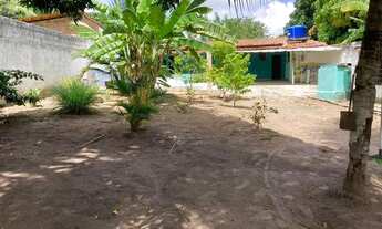 Imagem: Vende-se Granja em Extremox