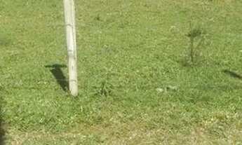 Imagem 1: Terreno Terreno / lote com venda por R$140.000