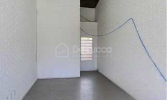 Imagem 4: Casa - Cambuí - Campinas