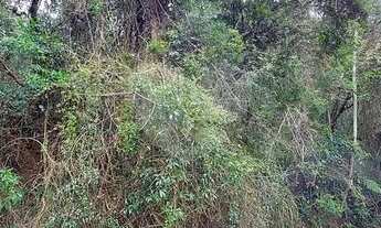 Imagem 2: Terreno à venda na Serra da Cantareira em Mairiporã/SP. Dois Terrenos unificados