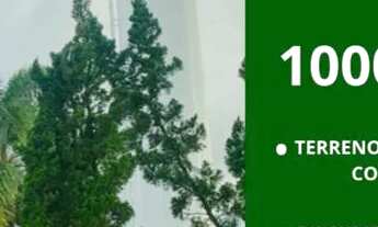 Imagem: Terreno Com Ótima topografia