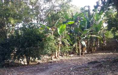 Imagem 5: Fazenda/Sítio/Chácara para venda tem 1305 metros quadrados com 3 quartos