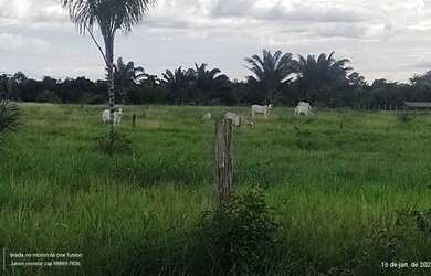 Imagem 4: 100 Hectares fazendinha pronta