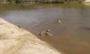 Imagem 4: Terreno de 16.000 metros na beira do rio