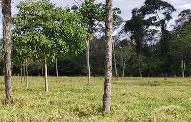 Imagem 2: Chácara em Avelinópolis