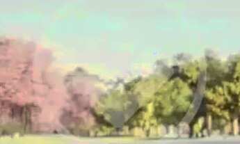 Imagem 7: Terreno no Jardins França codigo: 159590