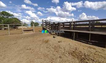 Imagem 3: FAZENDA À VENDA - 1.000 HECTARES - SANTA FÉ DE MINAS (MG