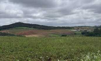 Imagem 6: Unidades Limitadas! Últimos Lotes 500m² no Morada de Canaã, Cotia/SP