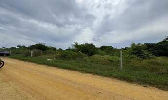 Imagem 4: Terreno plano com RGI 900m² ao lado da escola Dominus (Baia Formosa