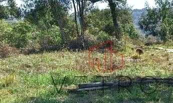 Imagem 3: Terreno à Venda em Canela!