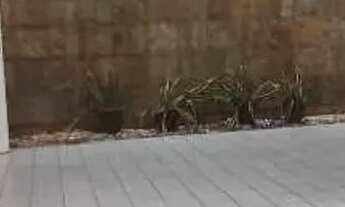 Imagem 2: Casa à venda com 2 quartos - Teresina/PI