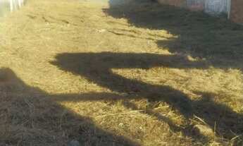 Imagem: Vendo terreno a 20 passos da Prefeitura