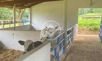 Imagem 4: Aparecida de Goiânia - Casa no Setor Oliveira codigo: 162177