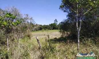 Imagem 3: Velleda oferece lindo sítio com casa em Águas Claras de 3 hectares