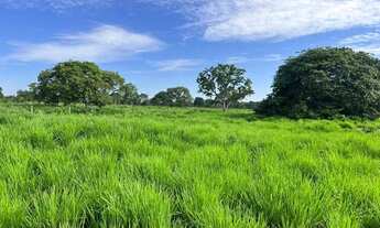 Imagem 3: FAZENDA EM BURITIZEIRO MG NA BEIRA DO RIO SÃO FRANCISCO FORMADA E COM DOIS PIVÔS