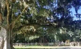 Imagem 4: Velleda oferece lindo sítio 6700m², figueira centenária e açude, condomínio em Águas Clara