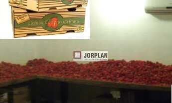 Imagem 2: Fazenda com 2 dormitórios à venda, 480000 m² por R$ 2.350.000,00 - Santo Antonio - Carmo/R