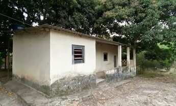 Imagem 7: Chácara a venda 5.800 m2 / Árvores frutiferas e agua