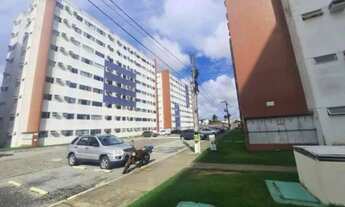 Imagem 4: Alugo 2/4 Tabuleiro