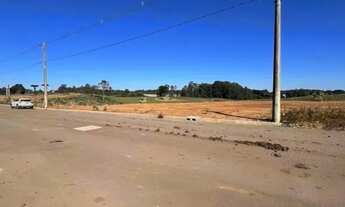 Imagem 7: Terreno Linha Palmeiro Farroupilha