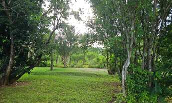 Imagem 6: CHÁCARA 23 mil m2 ESCRITURADA DF