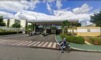 Imagem 3: Paradiso Alpinia