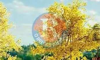 Imagem 7: Terreno de Condomínio, Condomínio Le Vert Residence, São José do Rio Preto - R$ 790 mil, C