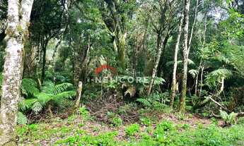 Imagem 6: Lote em Rua 6 Alpes - Alpes - São Francisco de Paula/RS