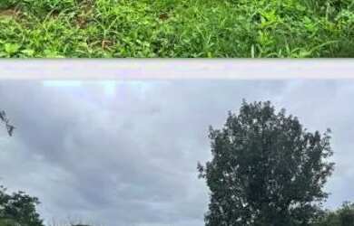 Imagem 3: Ótima chácara Chácara com venda por R$2.000.000