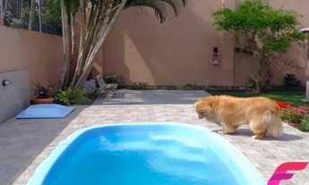 Imagem 4: Casa 4 dormitórios, 150 m² - Rio Tavares, Florianópolis