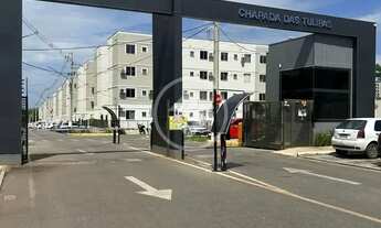 Imagem 3: Chapada das Tulipas codigo: 267750