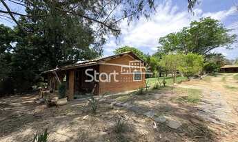 Imagem 3: Chácara - Tijuco das Telhas - Campinas