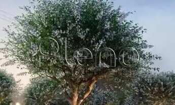 Imagem 7: Terreno à venda em Campinas, Jardim Santa Genebra, com 271 m², Terras Alpha Parque I