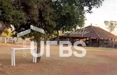 Imagem 4: Fazenda Ourinho de Deus - 63 alqueires - 7 km de Santa Tereza - Go