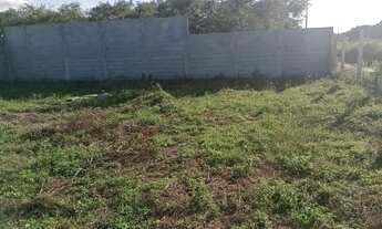 Imagem 3: Terreno no distrito da Matinha, valor para vender logo 25.000