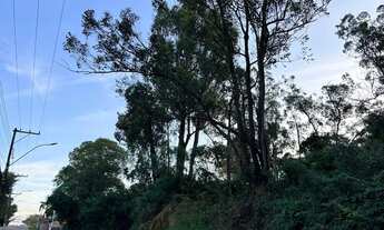 Imagem: Vendo terreno na Av Liberdade