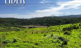 Imagem 6: TERRENOS PERFEITOS PARA VIVER OU INVESTIR! CLIQUE, AGENDE SUA VISITA E CONFIRA DE PERTO!